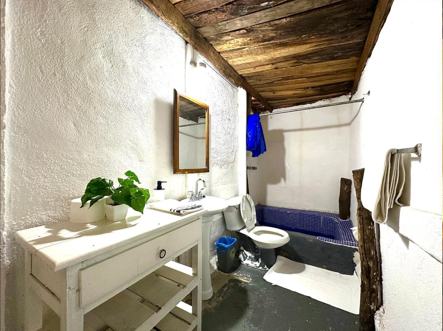 Cabana Del Jardin Pv Zona Romantica Puerto Vallarta Kültér fotó